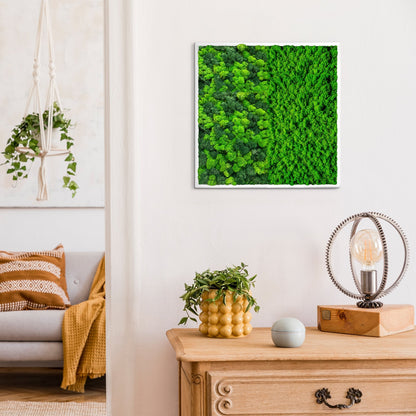 Half Moss Art Square Frame