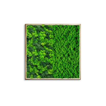 Half Moss Art Square Frame
