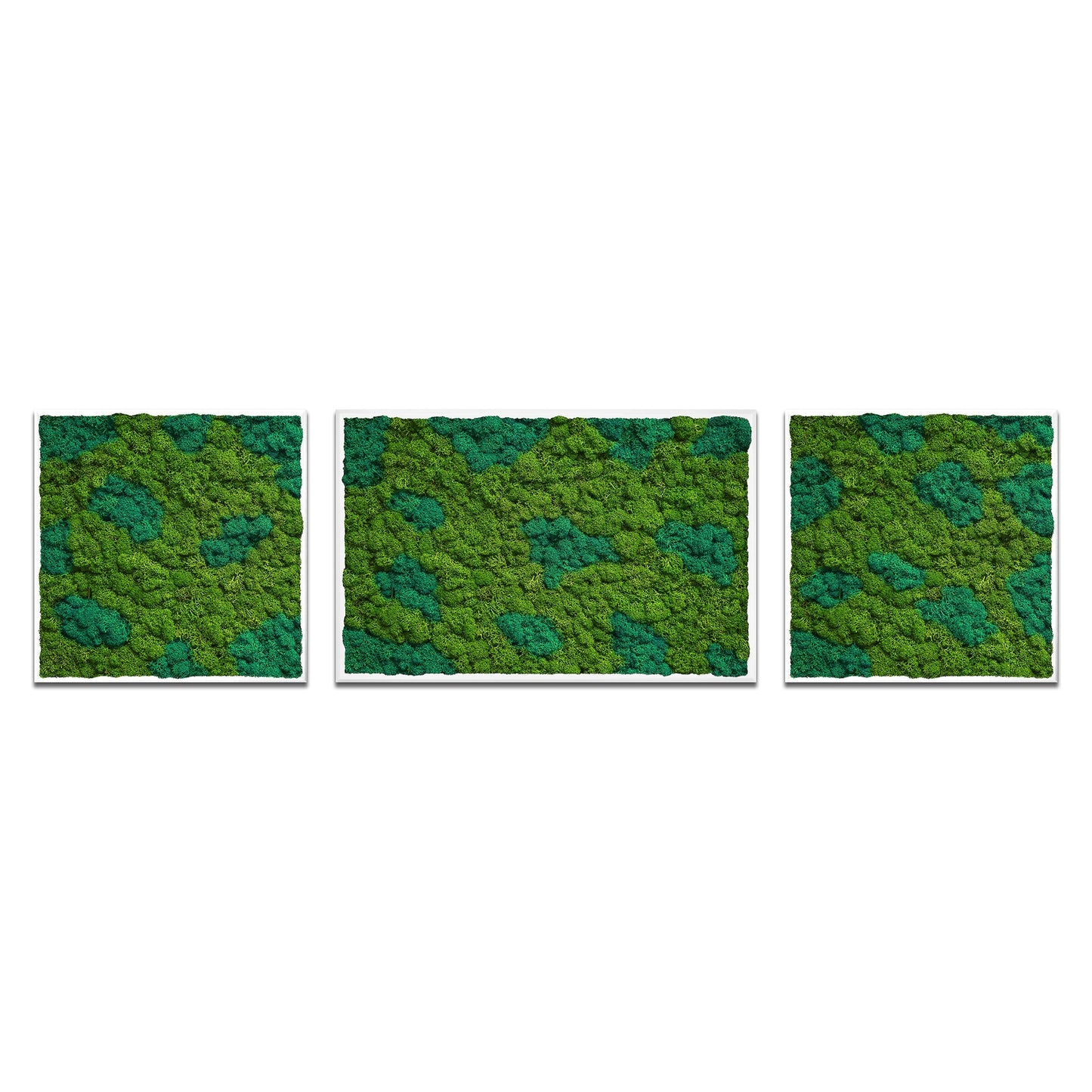 Moss Art Trio Multi Panel