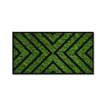 Moss Art X Design Wood Frame