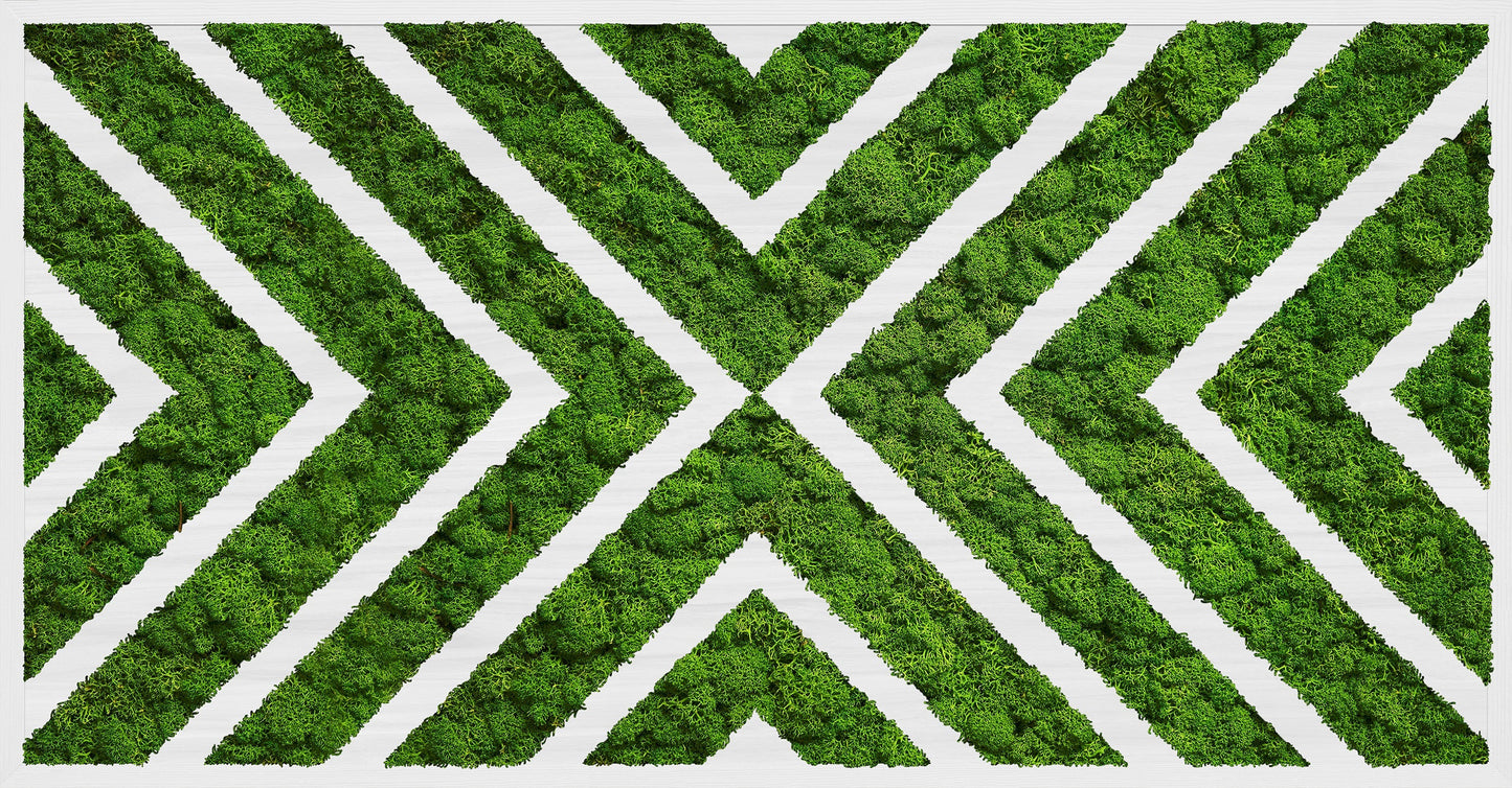 Moss Art X Design Wood Frame